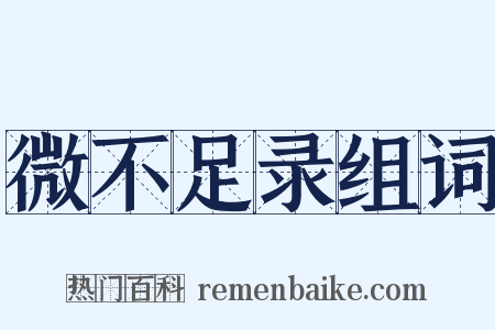 微不足录组词是什么意思的图片